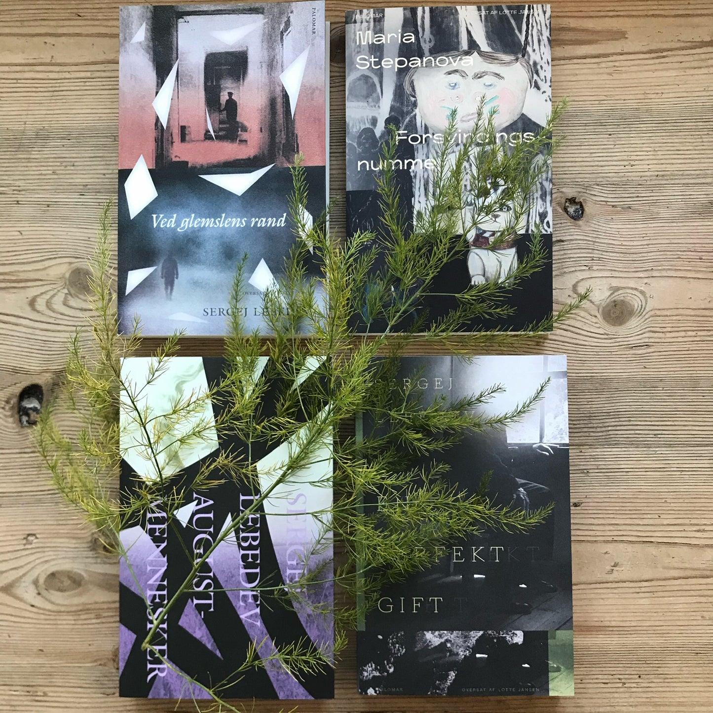 Adventskalender - Russiske romaner