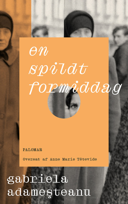 Adameşteanu - En spildt formiddag