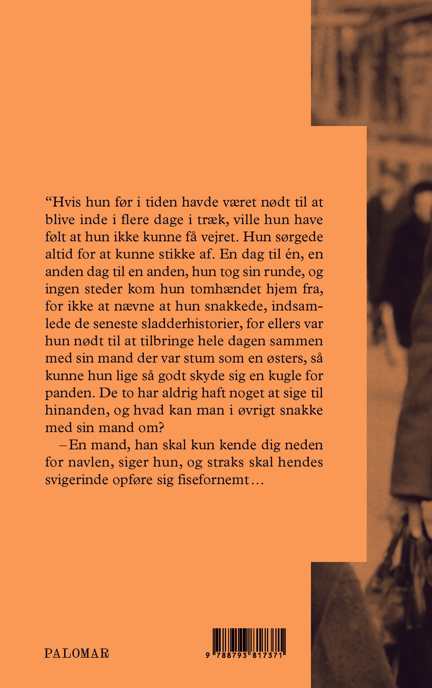 Adameşteanu - En spildt formiddag